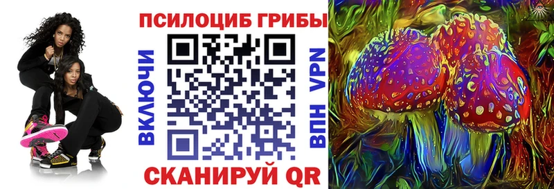 Галлюциногенные грибы Psilocybine cubensis  сколько стоит  Ковылкино 